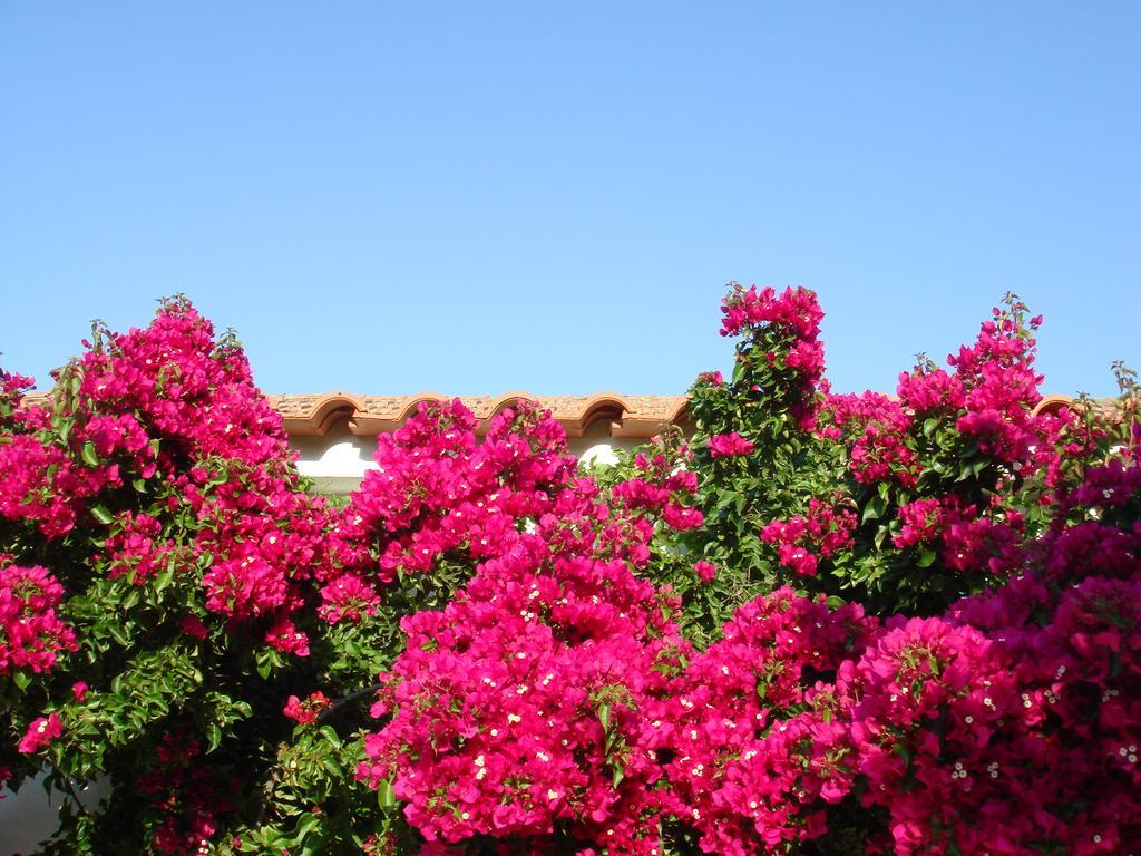 Monte Dos Arneiros Hotel Lavre Exterior foto